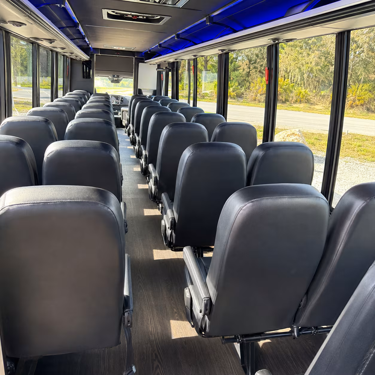 greenville travel on your schedule with greenville long distance charter bus rentals