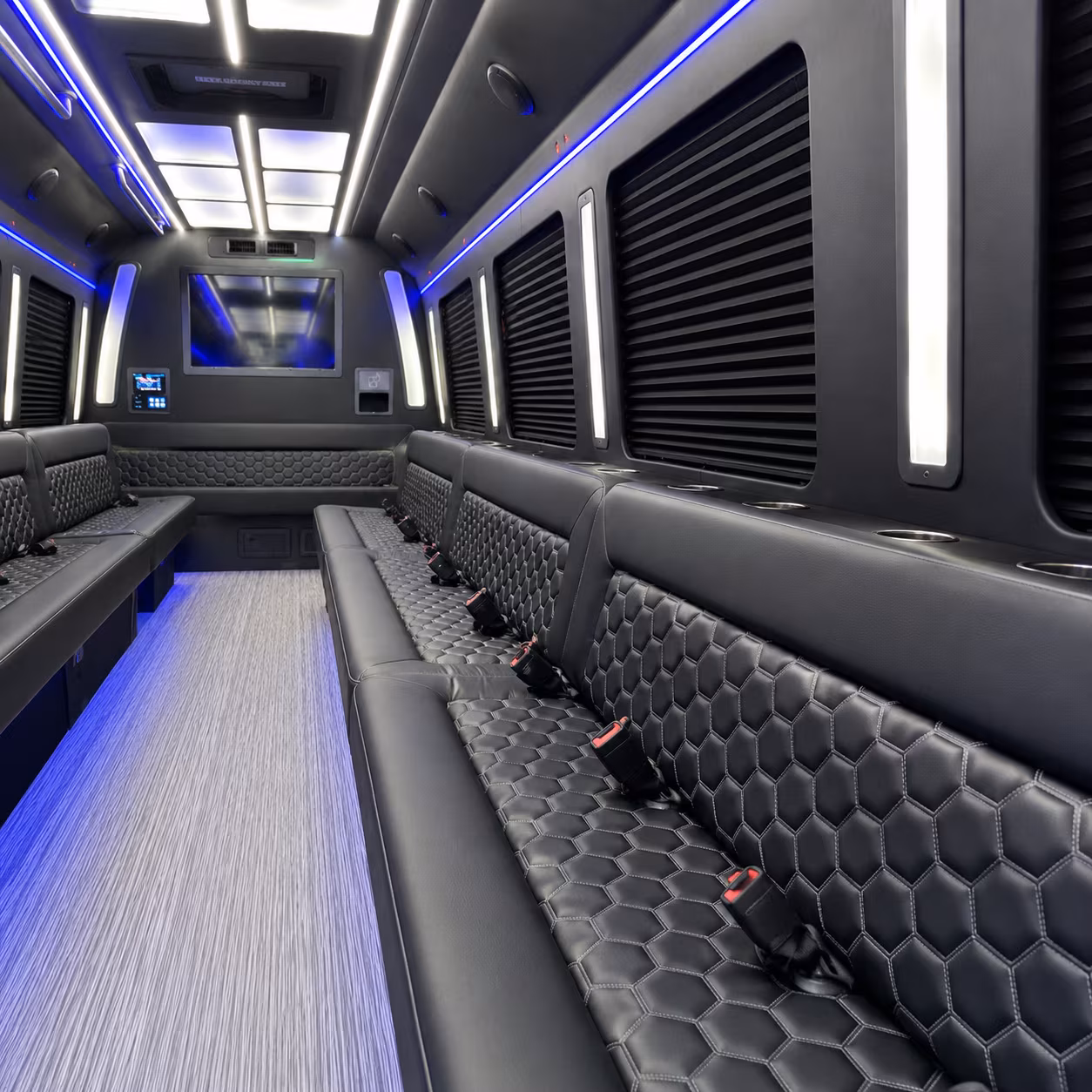 rock hill birthday party bus rental